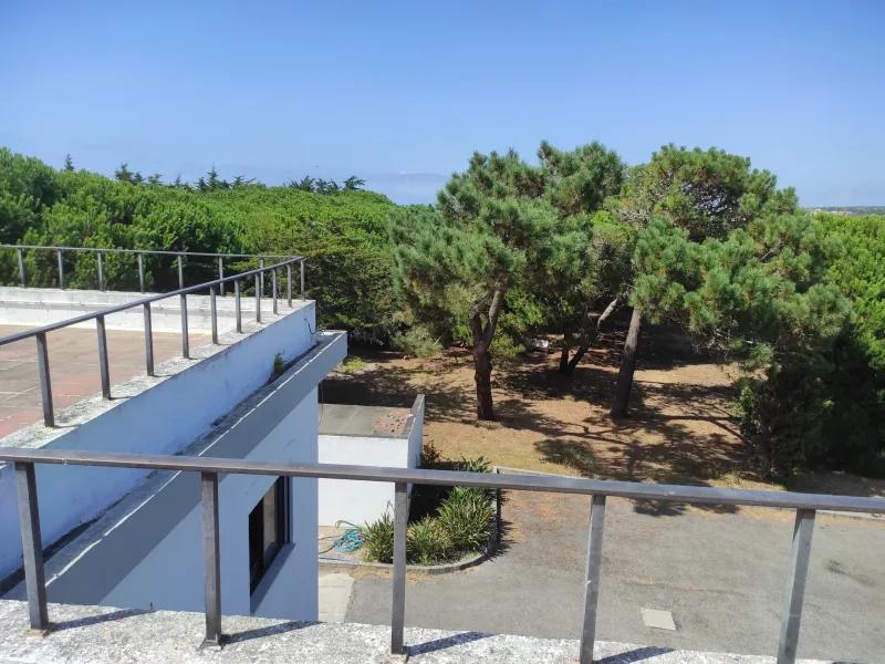 View from the venue's rooftop terrace over the pine-covered grounds